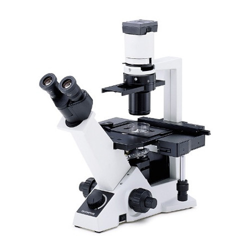 Professional Inverted Microscope