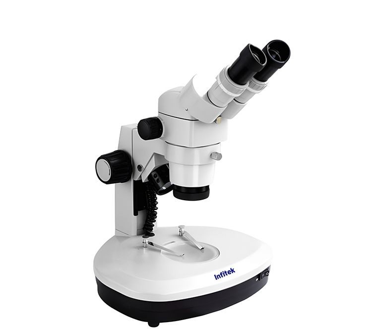 Professional Stereo Microscope
