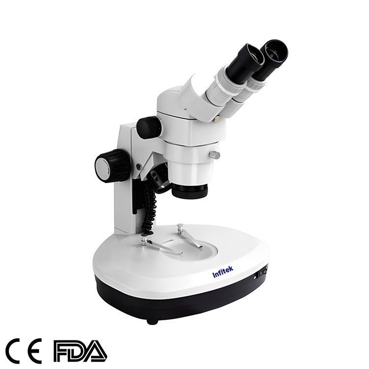 Stereo Microscopes